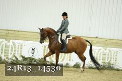 24R13_14530 thumbnail