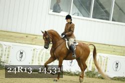 24R13_14531 thumbnail