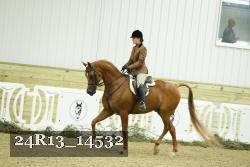 24R13_14532 thumbnail