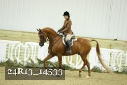 24R13_14533 thumbnail