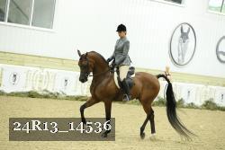 24R13_14536 thumbnail