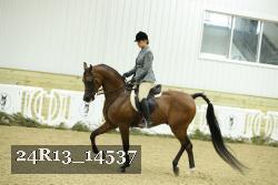 24R13_14537 thumbnail