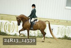 24R13_14539 thumbnail