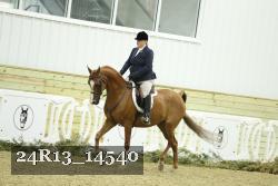 24R13_14540 thumbnail