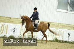 24R13_14541 thumbnail