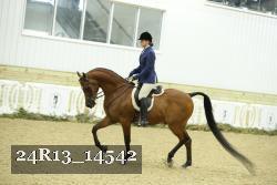 24R13_14542 thumbnail