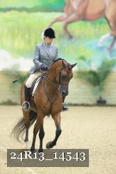 24R13_14543 thumbnail