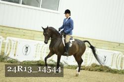 24R13_14544 thumbnail