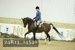 24R13_14546 thumbnail