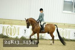 24R13_14547 thumbnail