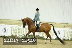 24R13_14548 thumbnail