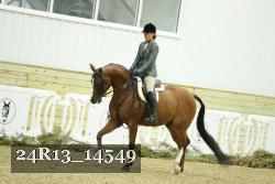 24R13_14549 thumbnail
