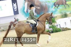 24R13_14550 thumbnail