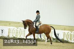 24R13_14551 thumbnail