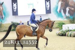 24R13_14552 thumbnail