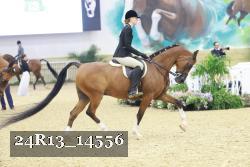 24R13_14556 thumbnail