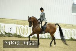 24R13_14557 thumbnail