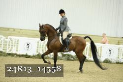 24R13_14558 thumbnail