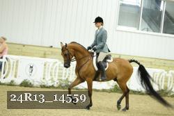 24R13_14559 thumbnail