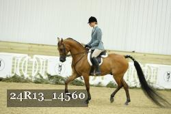 24R13_14560 thumbnail