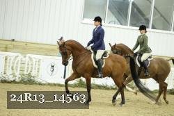 24R13_14563 thumbnail