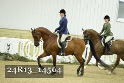 24R13_14564 thumbnail