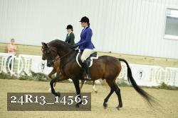 24R13_14565 thumbnail