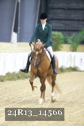 24R13_14566 thumbnail