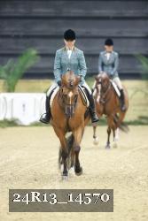 24R13_14570 thumbnail
