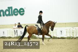 24R13_14572 thumbnail