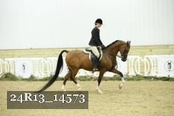24R13_14573 thumbnail
