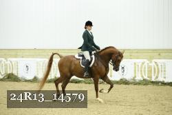24R13_14579 thumbnail