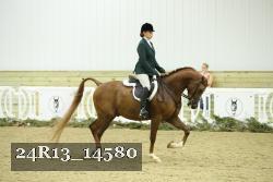 24R13_14580 thumbnail