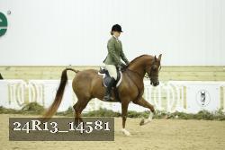 24R13_14581 thumbnail