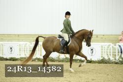 24R13_14582 thumbnail