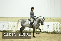24R13_14584 thumbnail