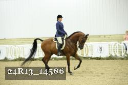24R13_14586 thumbnail