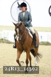 24R13_14592 thumbnail