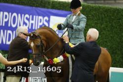 24R13_14605 thumbnail