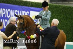 24R13_14606 thumbnail