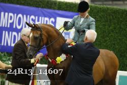 24R13_14607 thumbnail