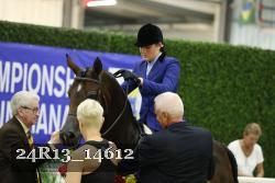 24R13_14612 thumbnail