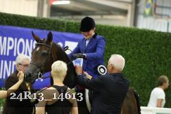 24R13_14613 thumbnail