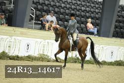 24R13_14617 thumbnail