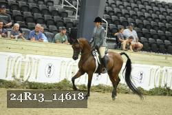 24R13_14618 thumbnail