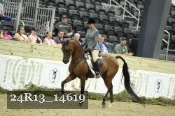 24R13_14619 thumbnail