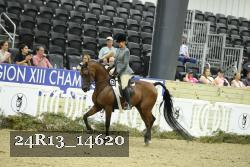 24R13_14620 thumbnail