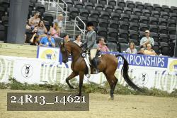 24R13_14621 thumbnail