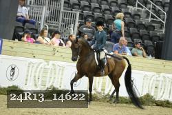 24R13_14622 thumbnail