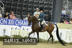 24R13_14623 thumbnail